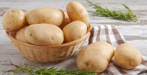 What is potato protein powder and how is it extracted?